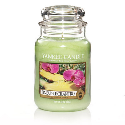 Jacques Flower Shop - Manchester Yankee Candle Pineapple Cilantro Jar