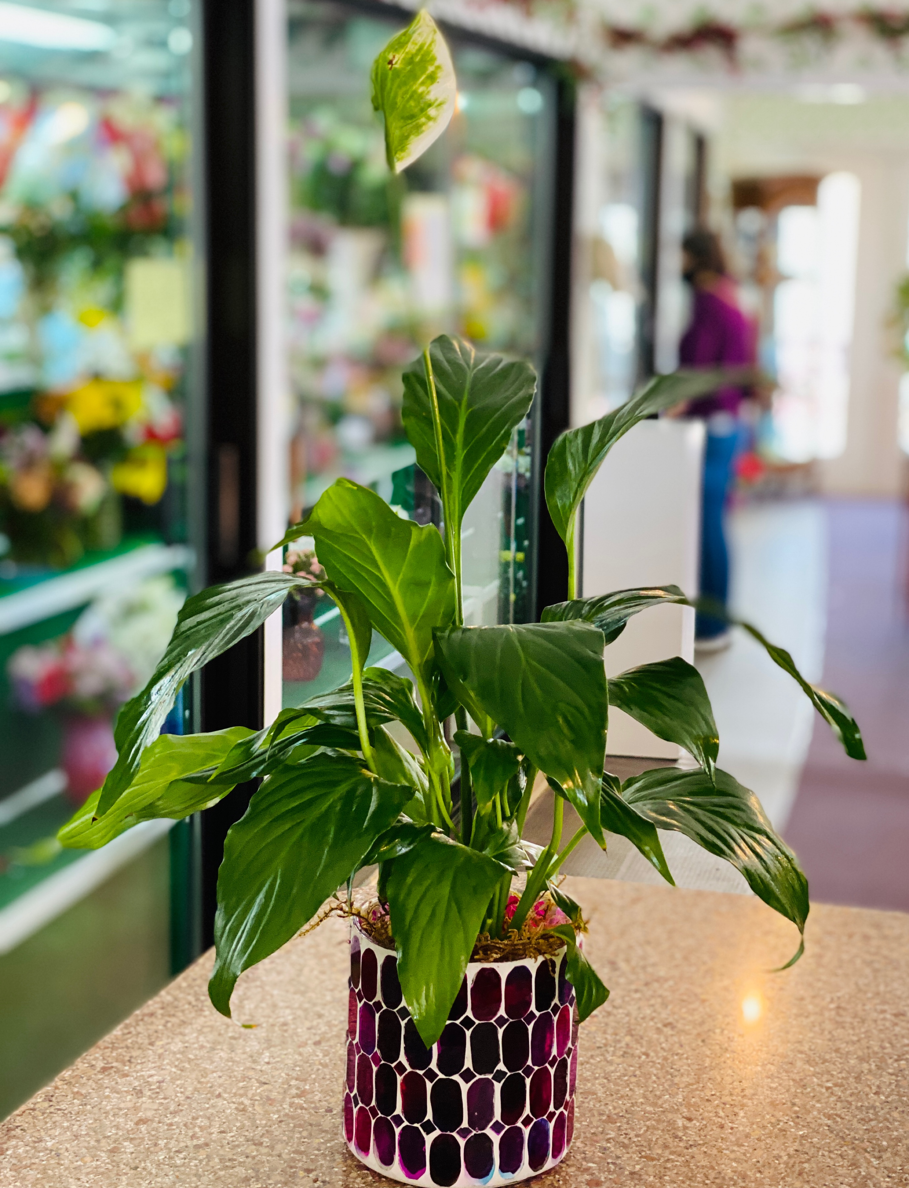 Bedazzled Peace Lily 