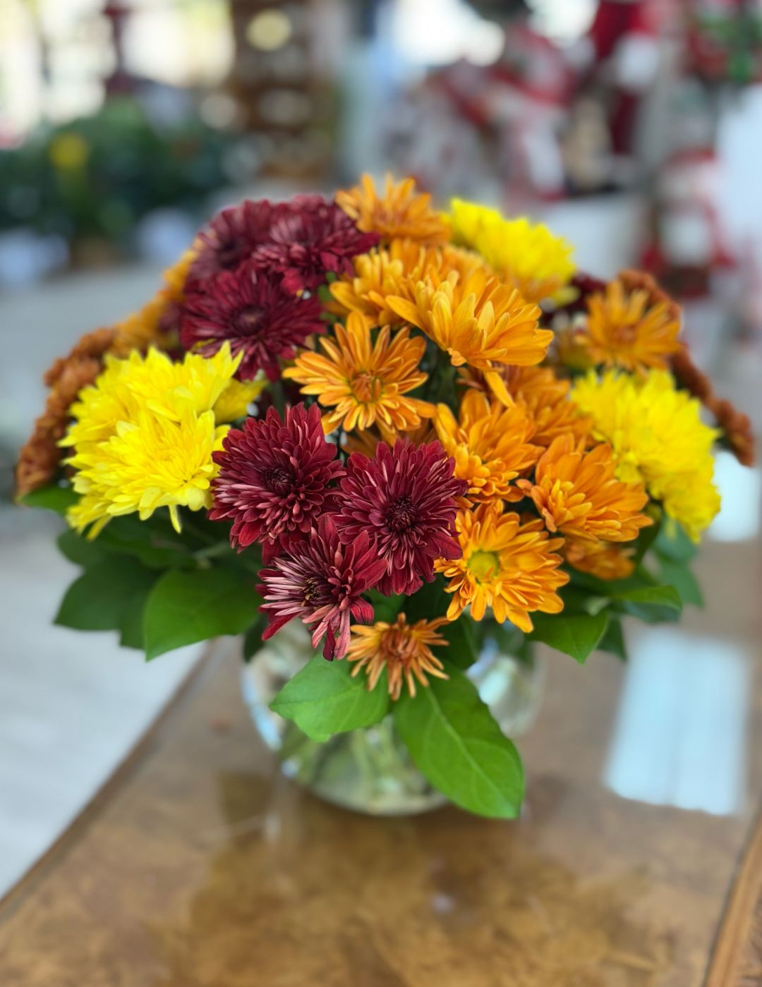Daisy Harvest 