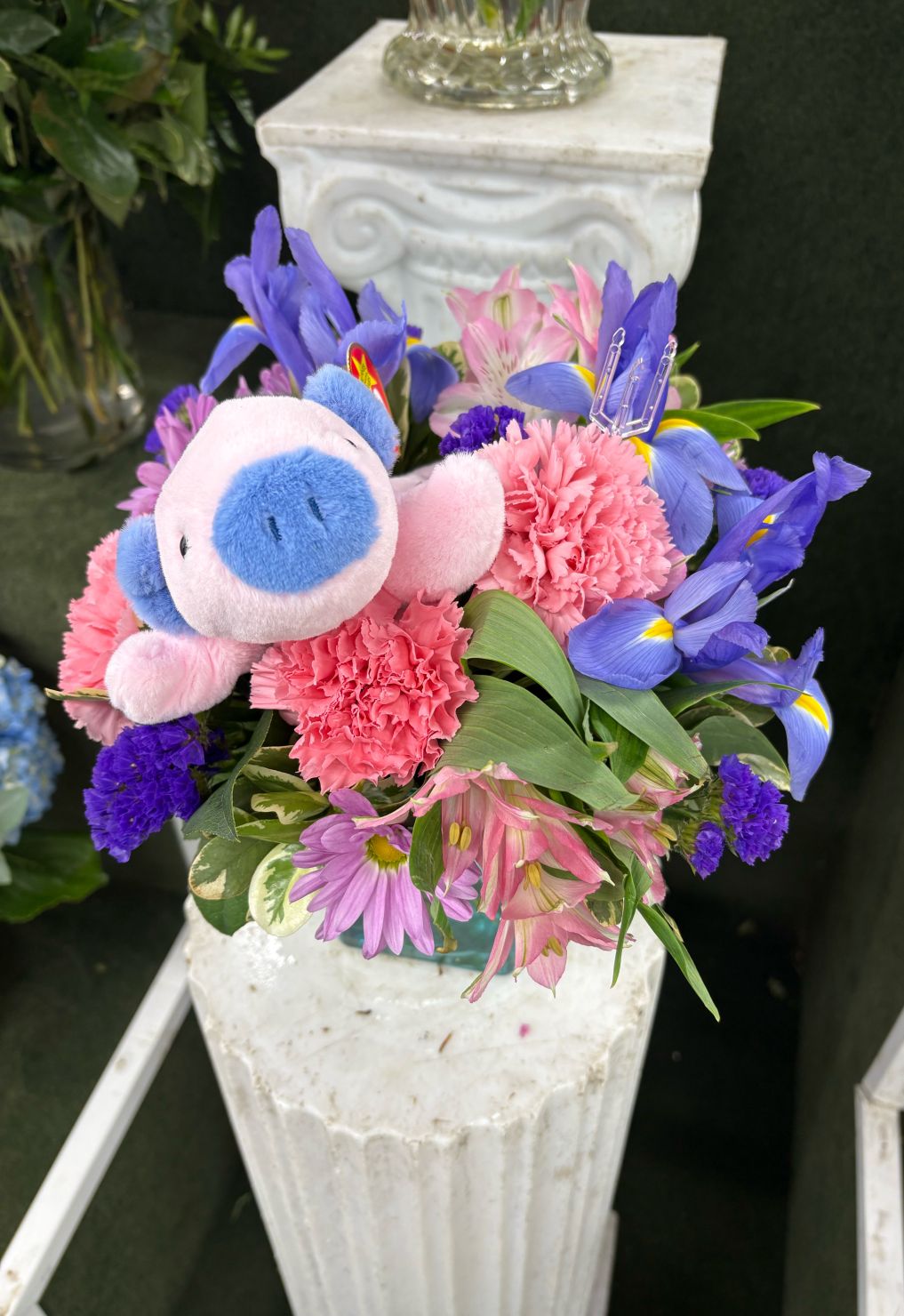 “When Pigs Fly” Arrangement IN THE COOLER 