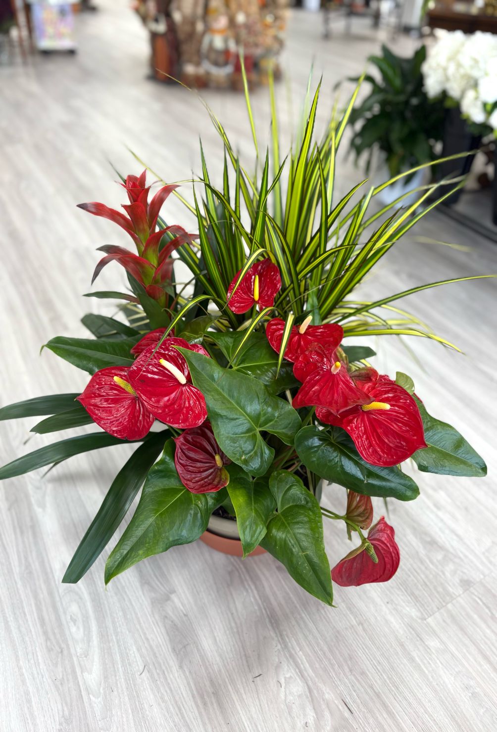 Large Tropical Planter 