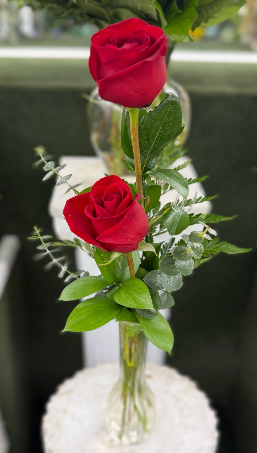 DOUBLE ROSE BUDVASE ARRANGEMENT IN THE COOLER