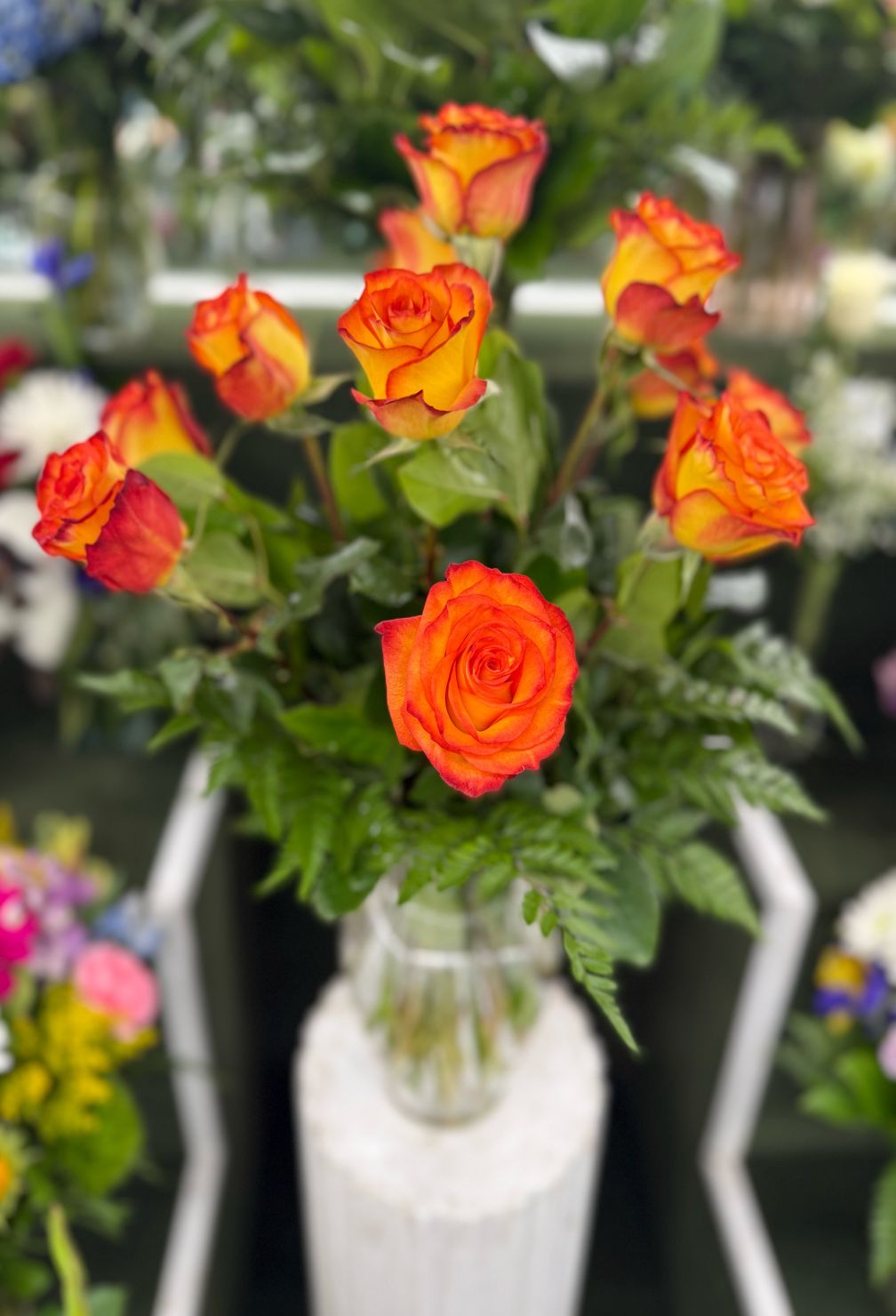 DOZEN CIRCUS ROSES IN THE COOLER
