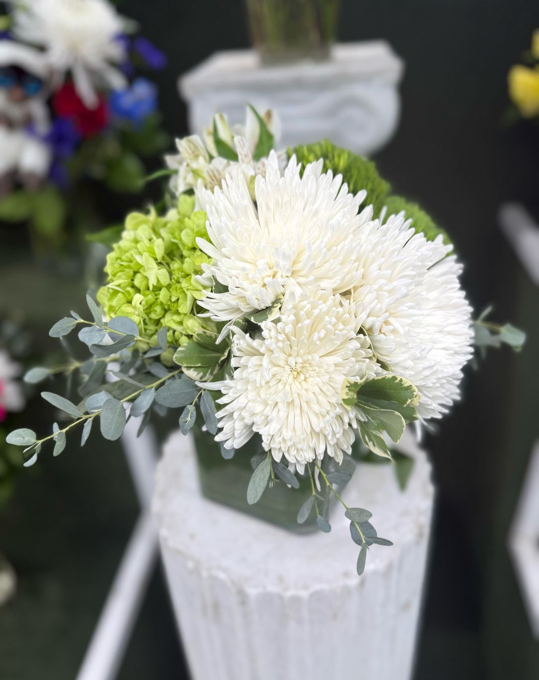 CLEAN WHITE AND GREEN CUBE ARRANGEMENT IN THE COOLER