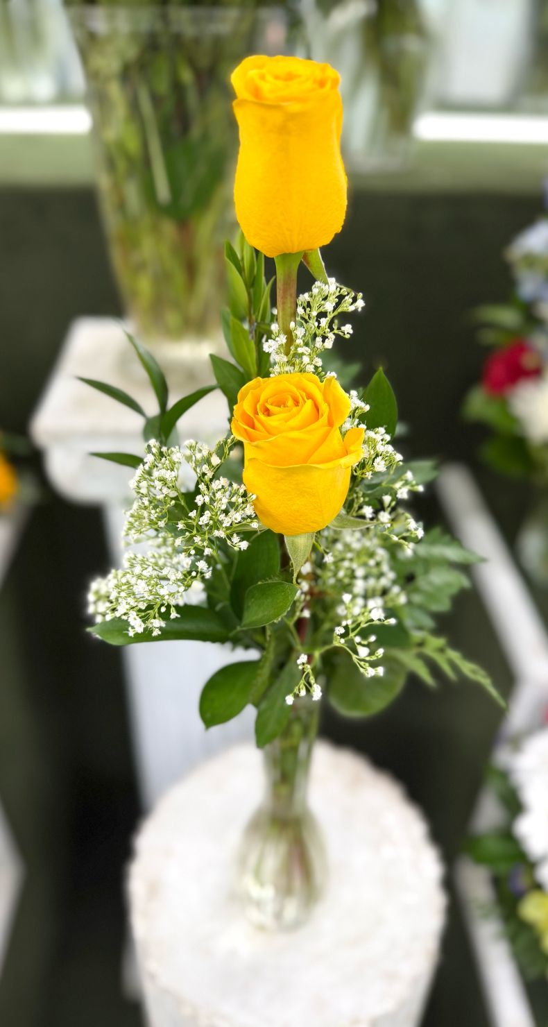 Double Yellow Rose Budvase Arrangement In the Cooler