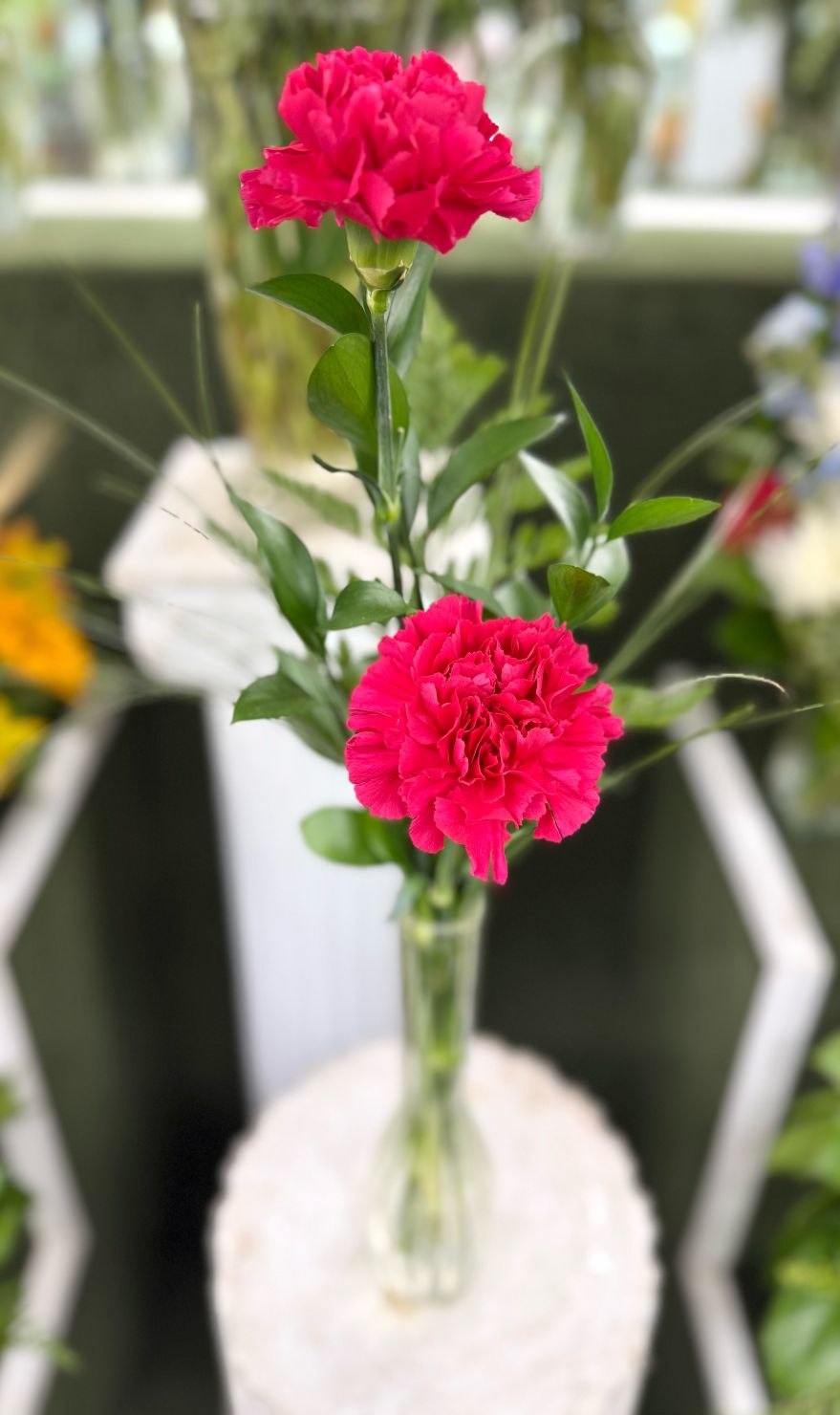 Double Carnation Budvase Arrangement In the Cooler