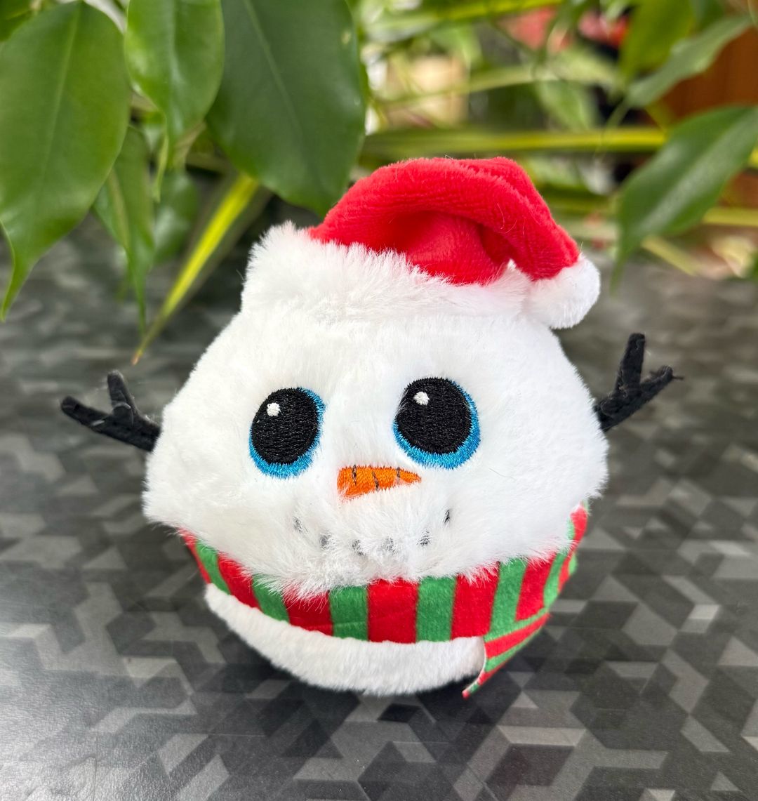 Jack Beanie Bouncer