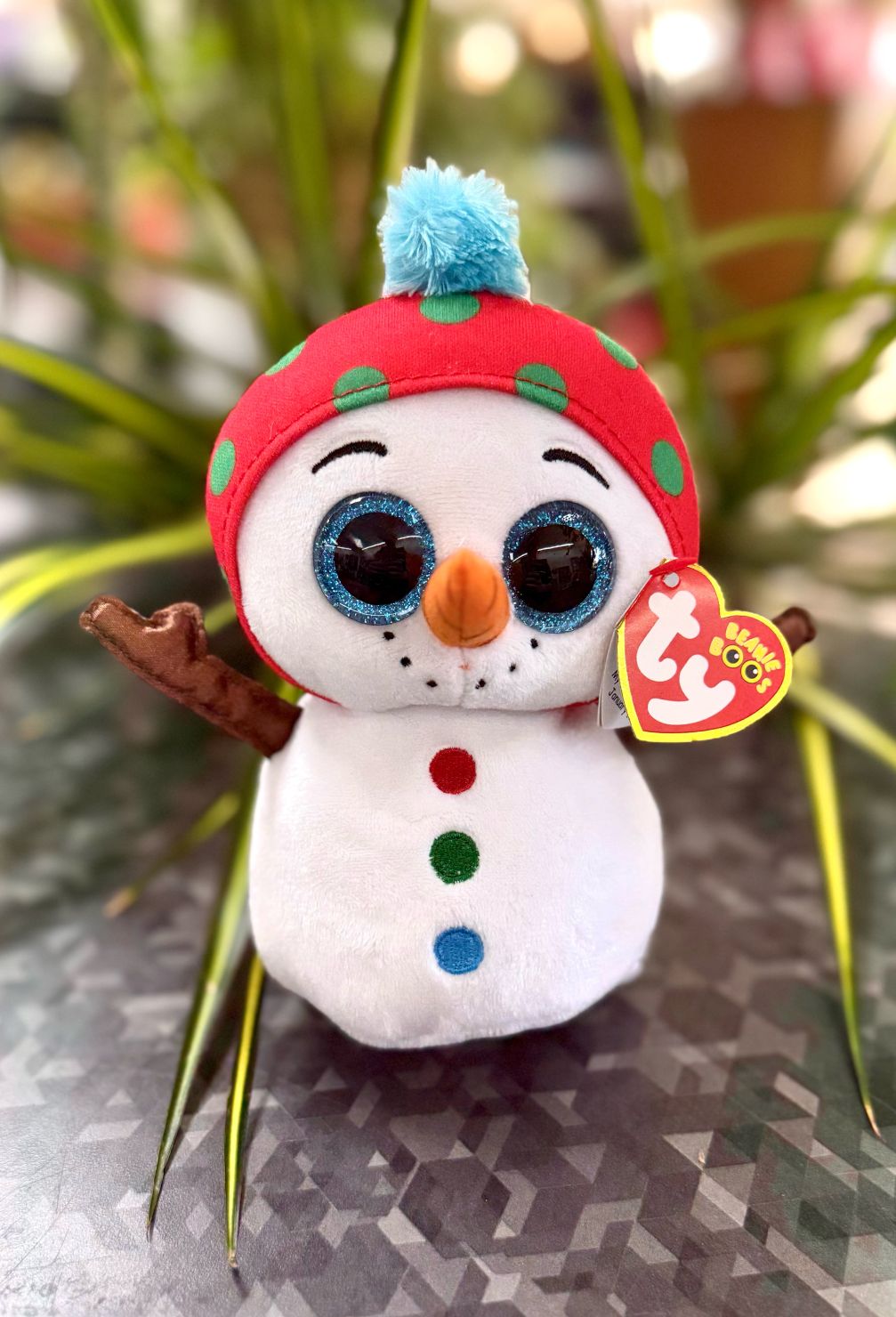 DAVE BEANIE BOOS 