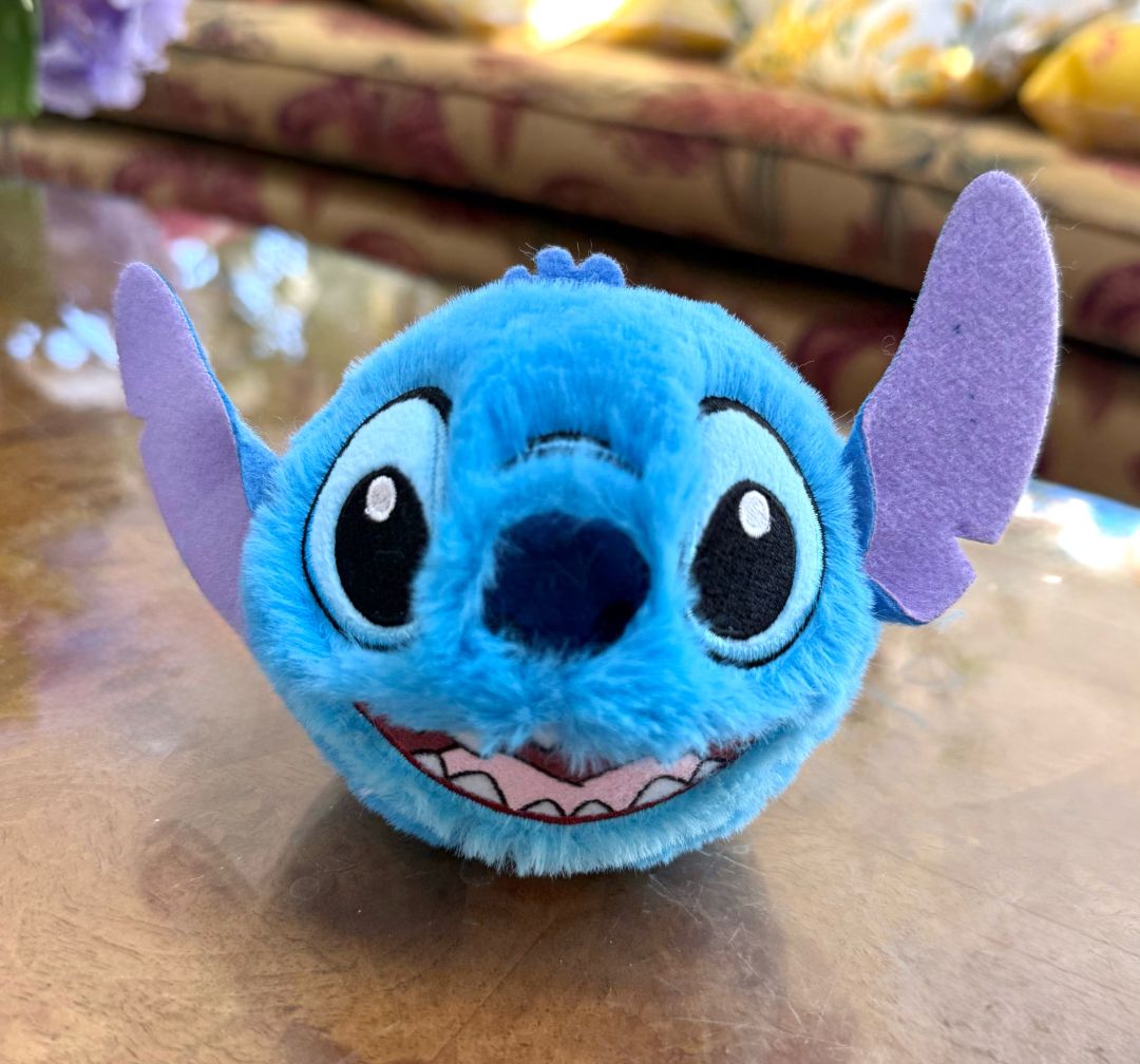 Stitch Beanie Bouncer