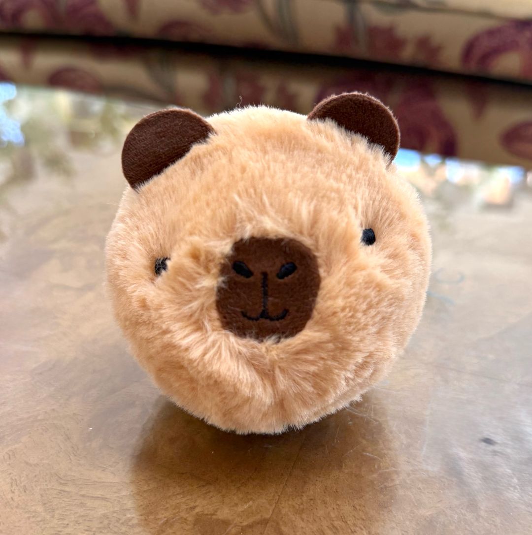 Barry Beanie Bouncer