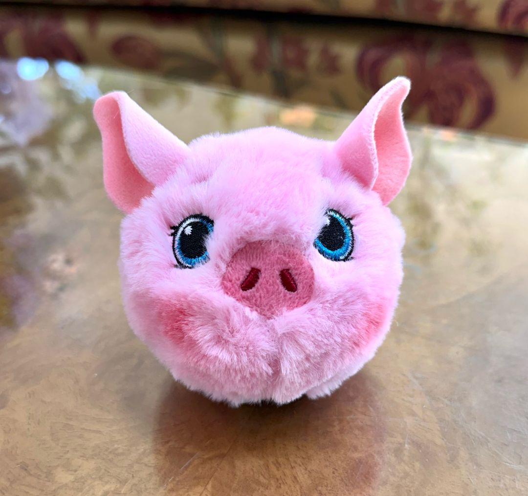 Posey Beanie Bouncer