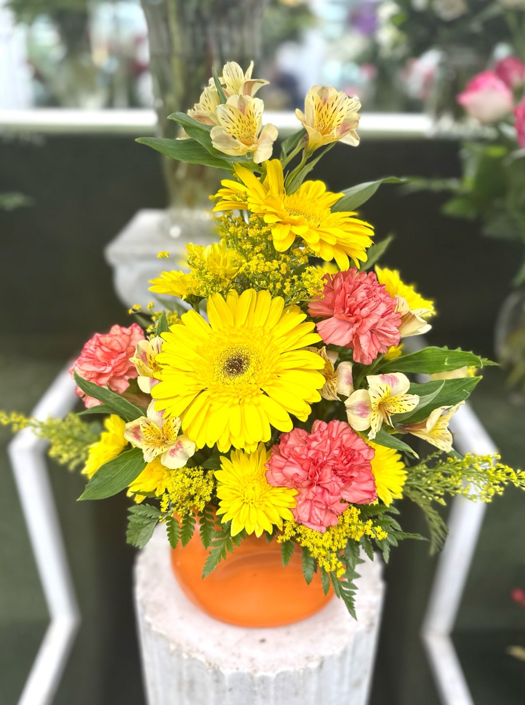 Citrus Sunshine In the Cooler