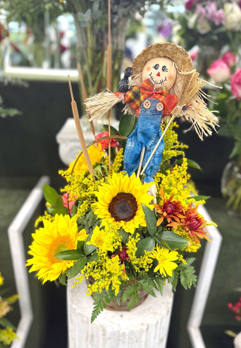 Happy Harvest In the Cooler