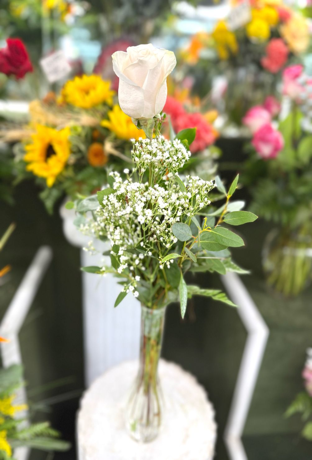 Single White Rose Budvase In the Cooler
