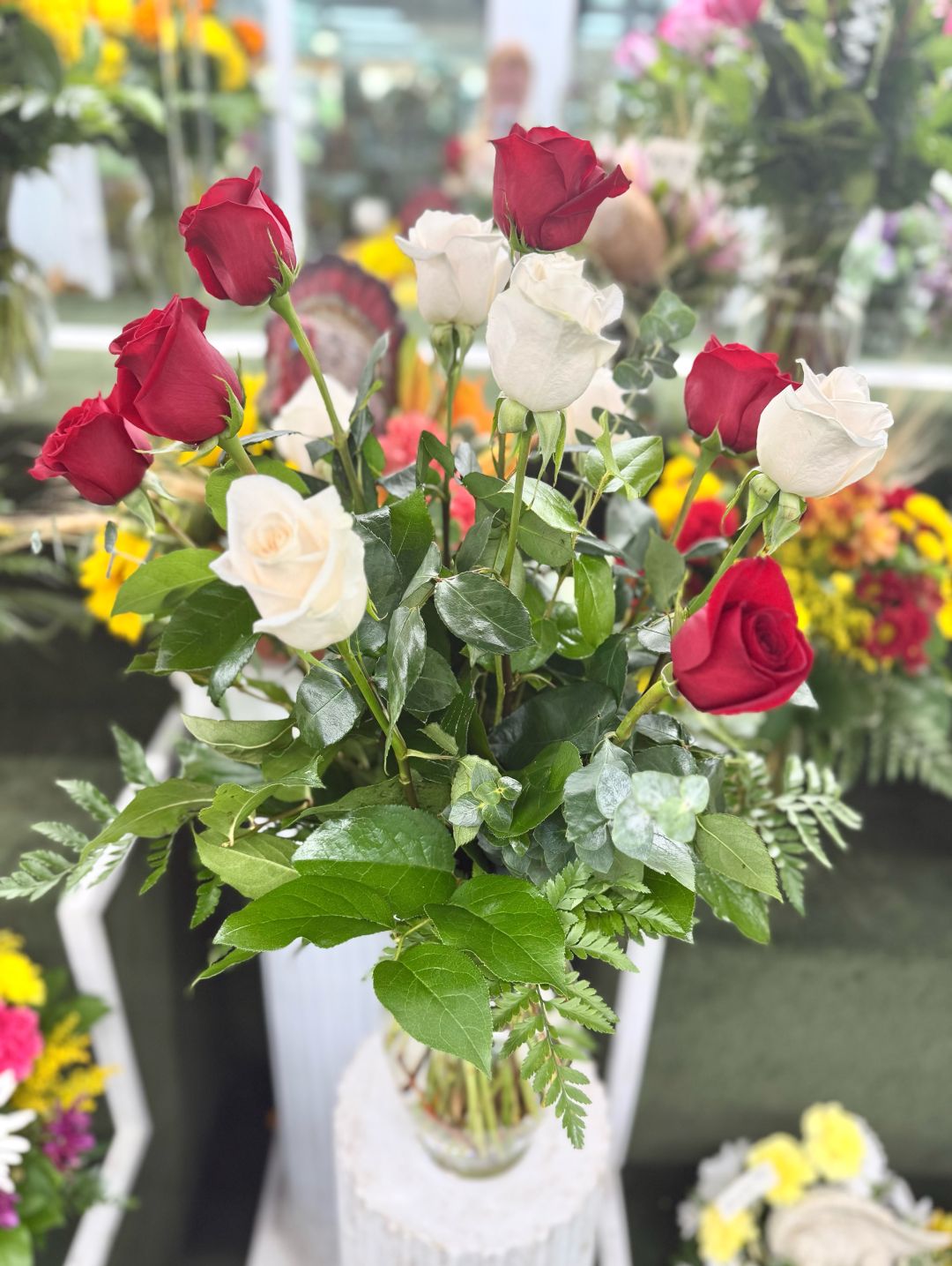 Dozen Red & White Roses In the Cooler