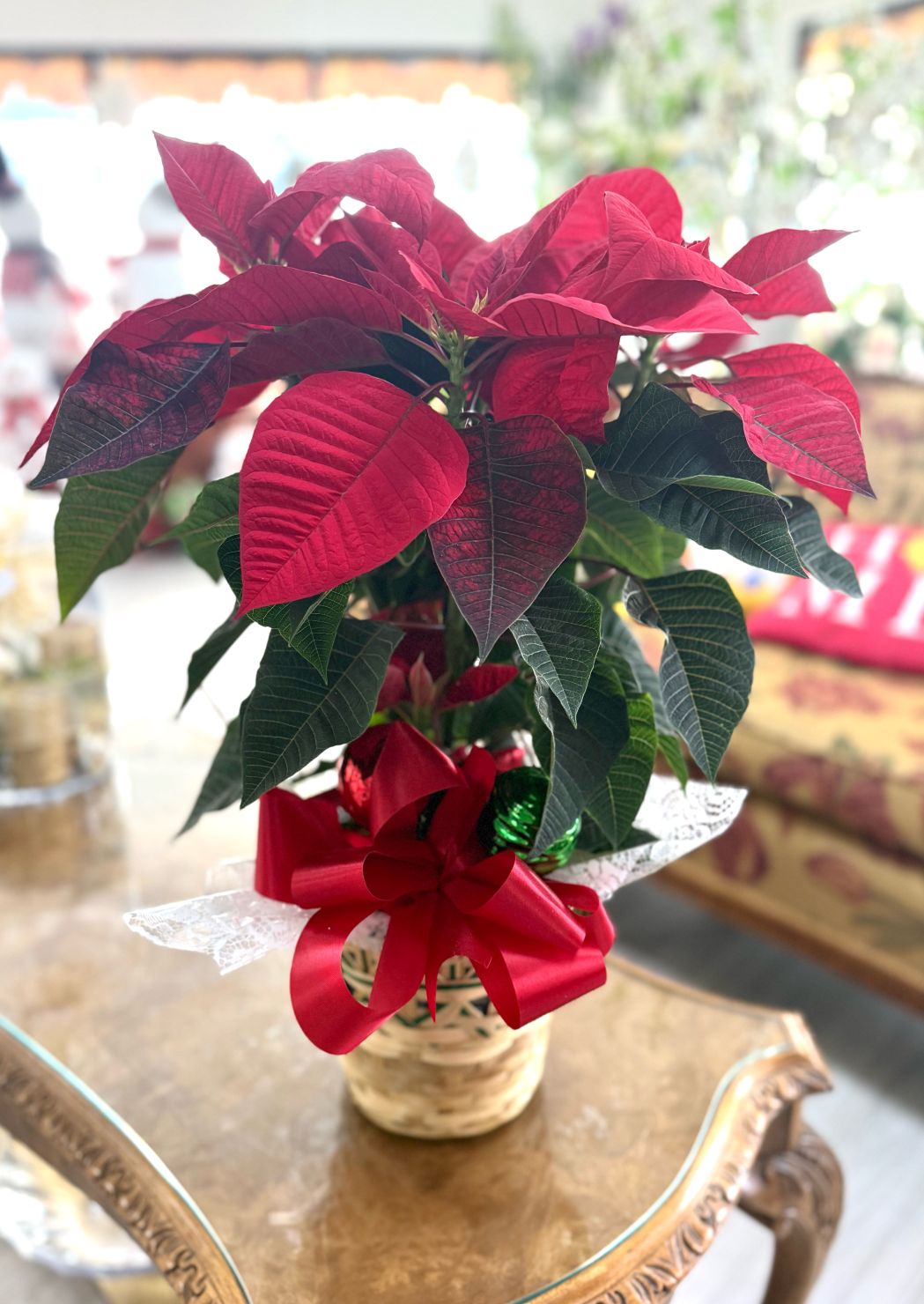 Holiday Poinsettia 6 Inch