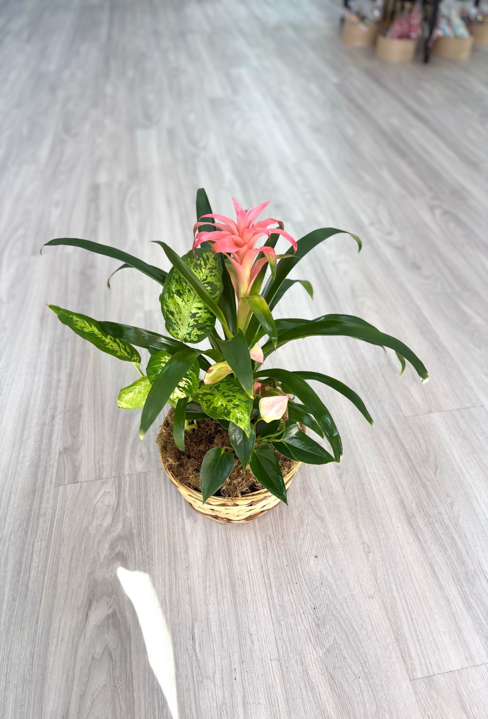 Tropical Garden Basket 