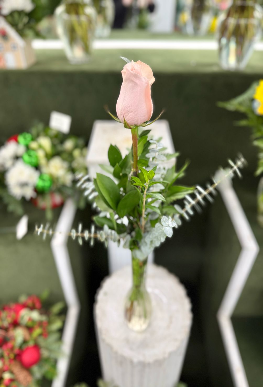 Single Baby Pink Rose Budvase In the Cooler