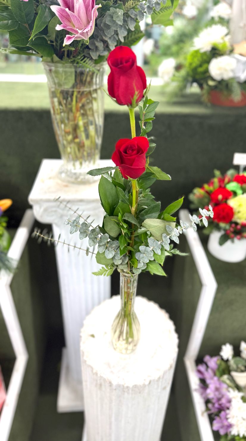 Double Red Rose Budvase In the Cooler