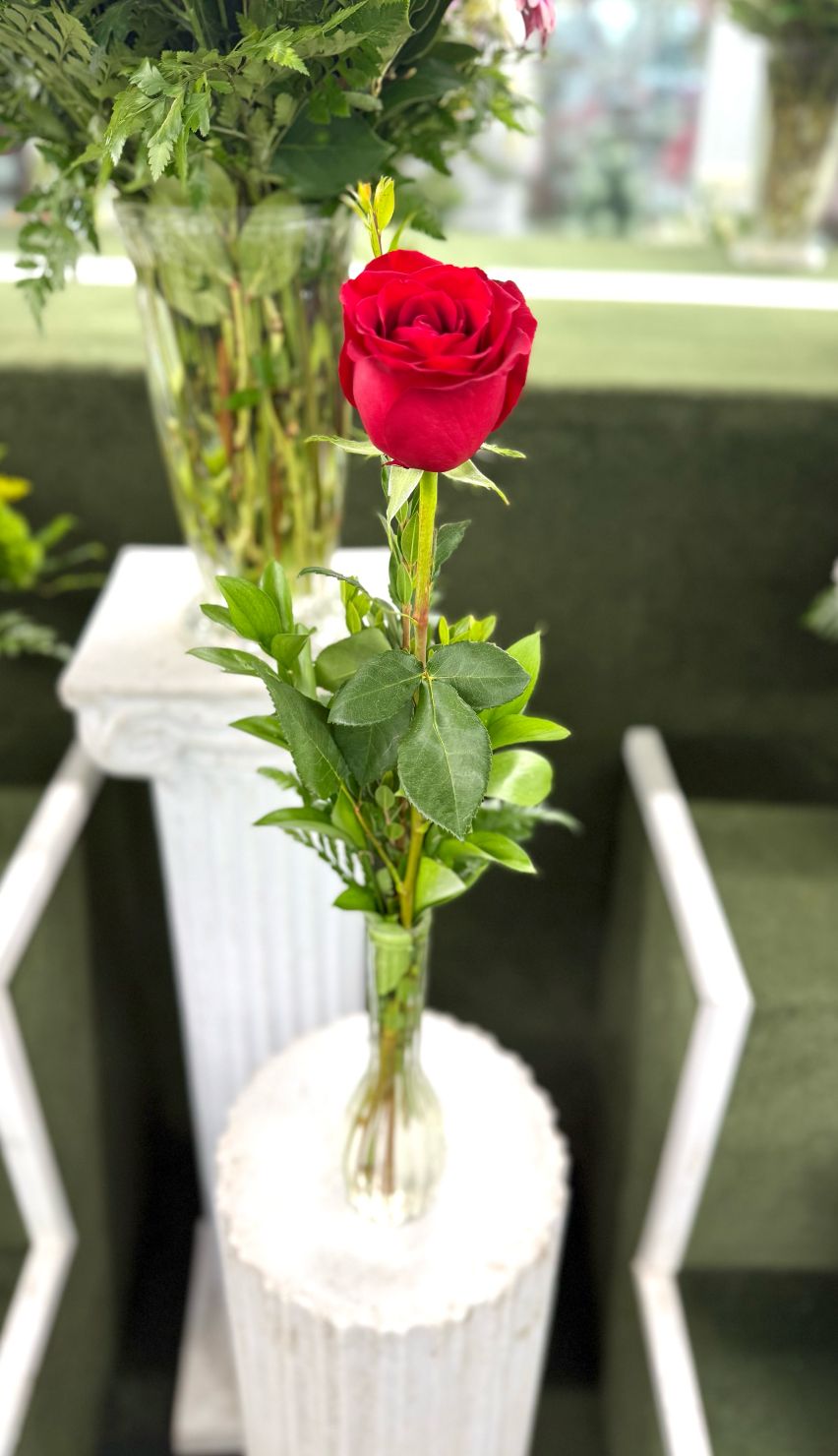 Single Red Rose Budvase In the Cooler