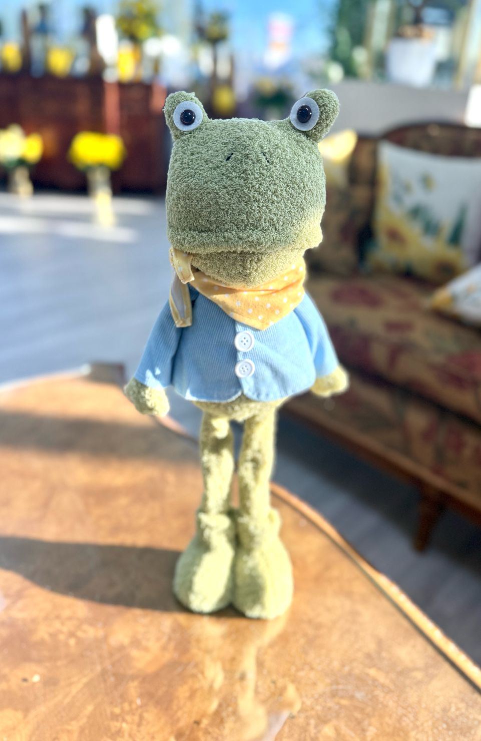 Fernie The Frog Decoration 