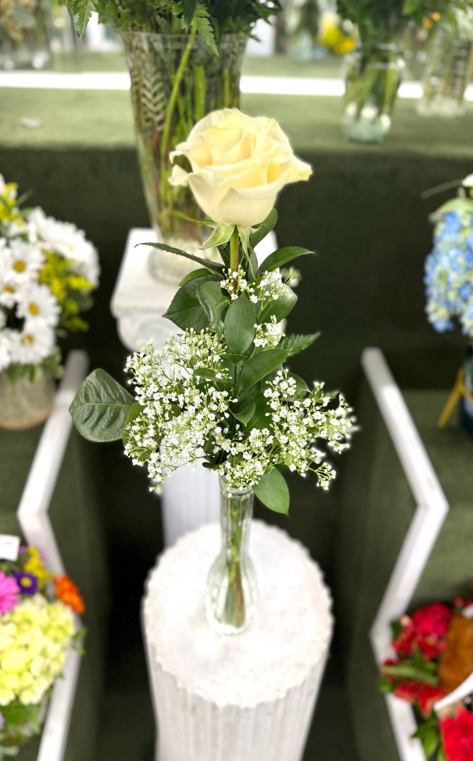 Single White Rose Budvase In the Cooler