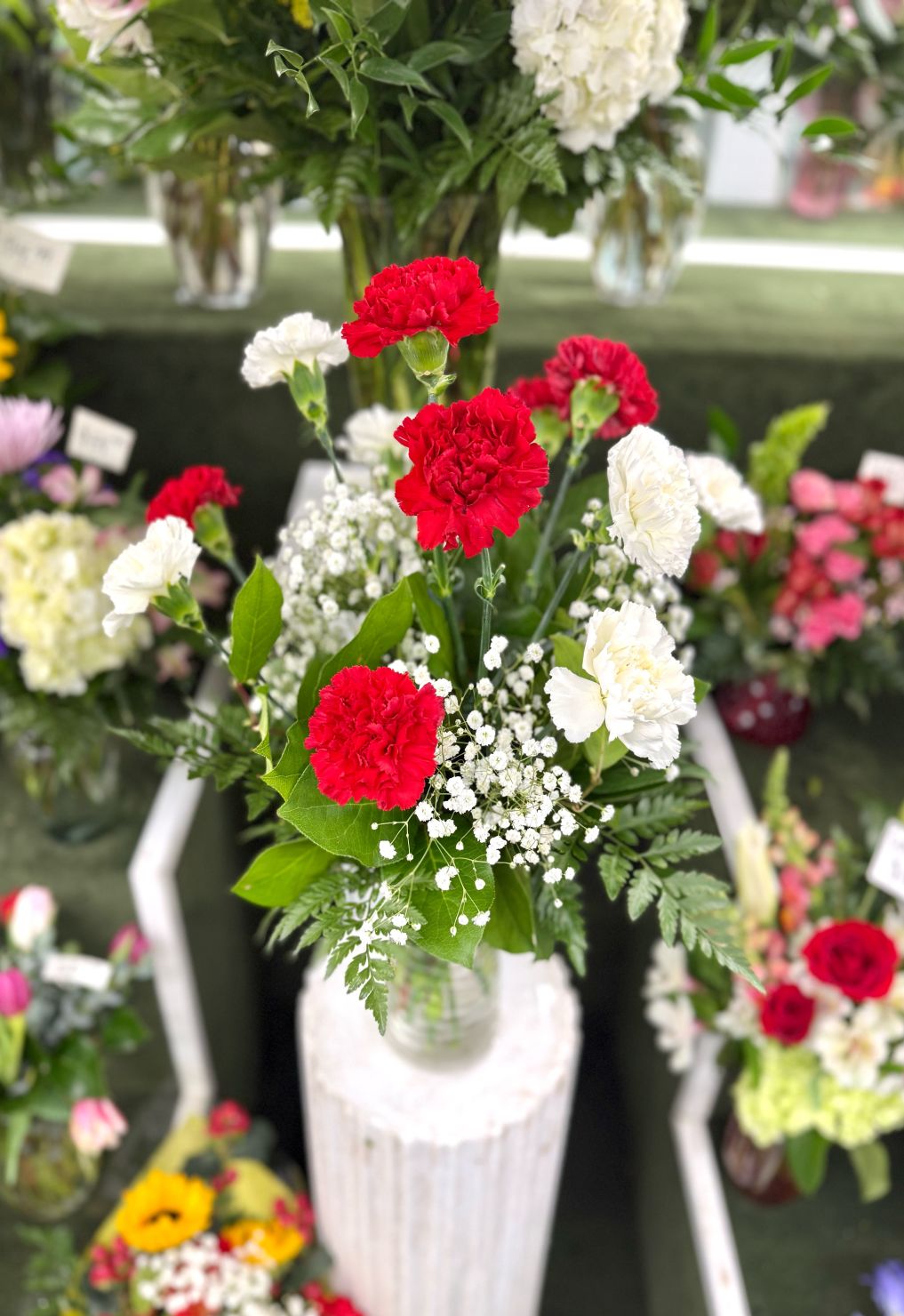 Dozen Red & White Carnation Arrangement In the Cooler