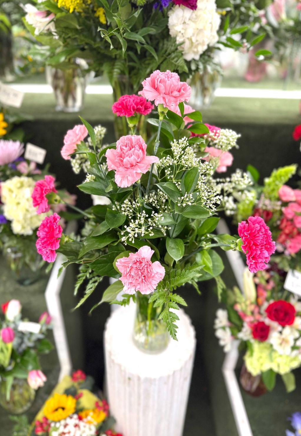 Dozen Pink Carnations Arrangement In the Cooler