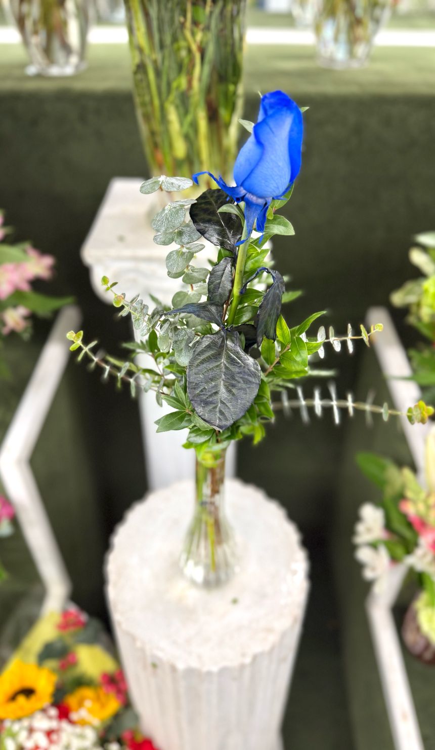 Single Blue Rose Budvase In the Cooler