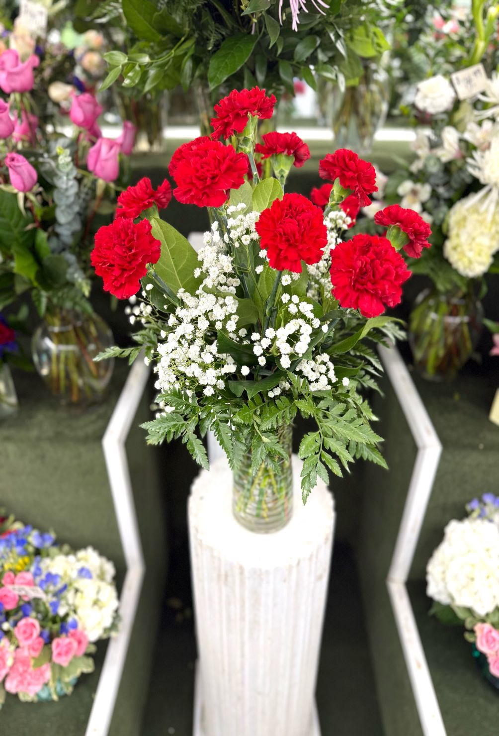 Dozen Red Carnation Arrangement In the Cooler