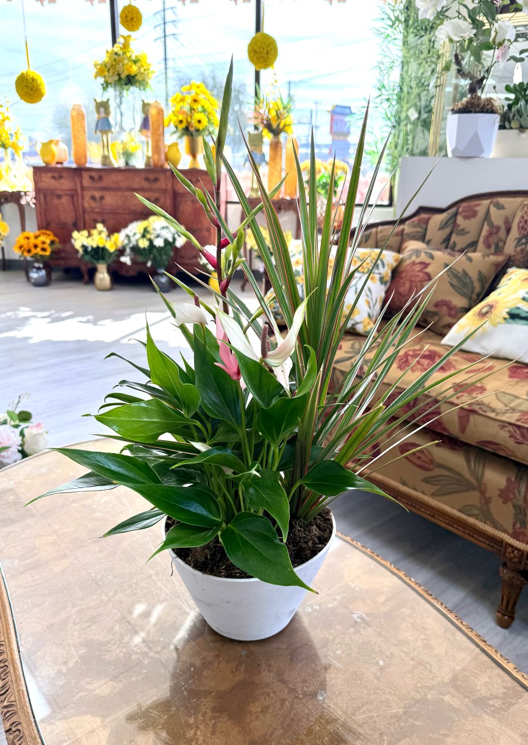 Potted Planter Garden 