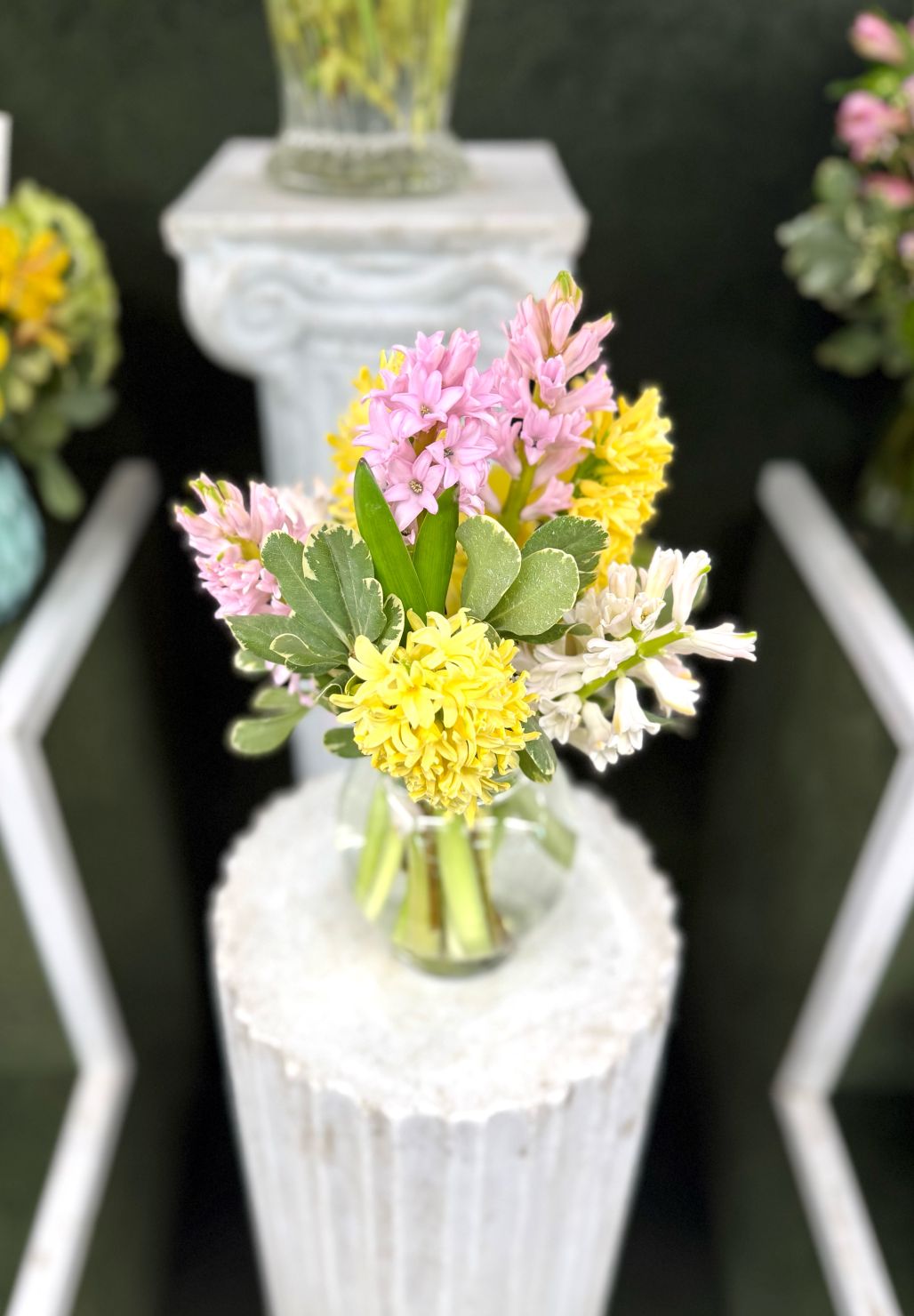 Happy Hyacinth Arrangement In the Cooler