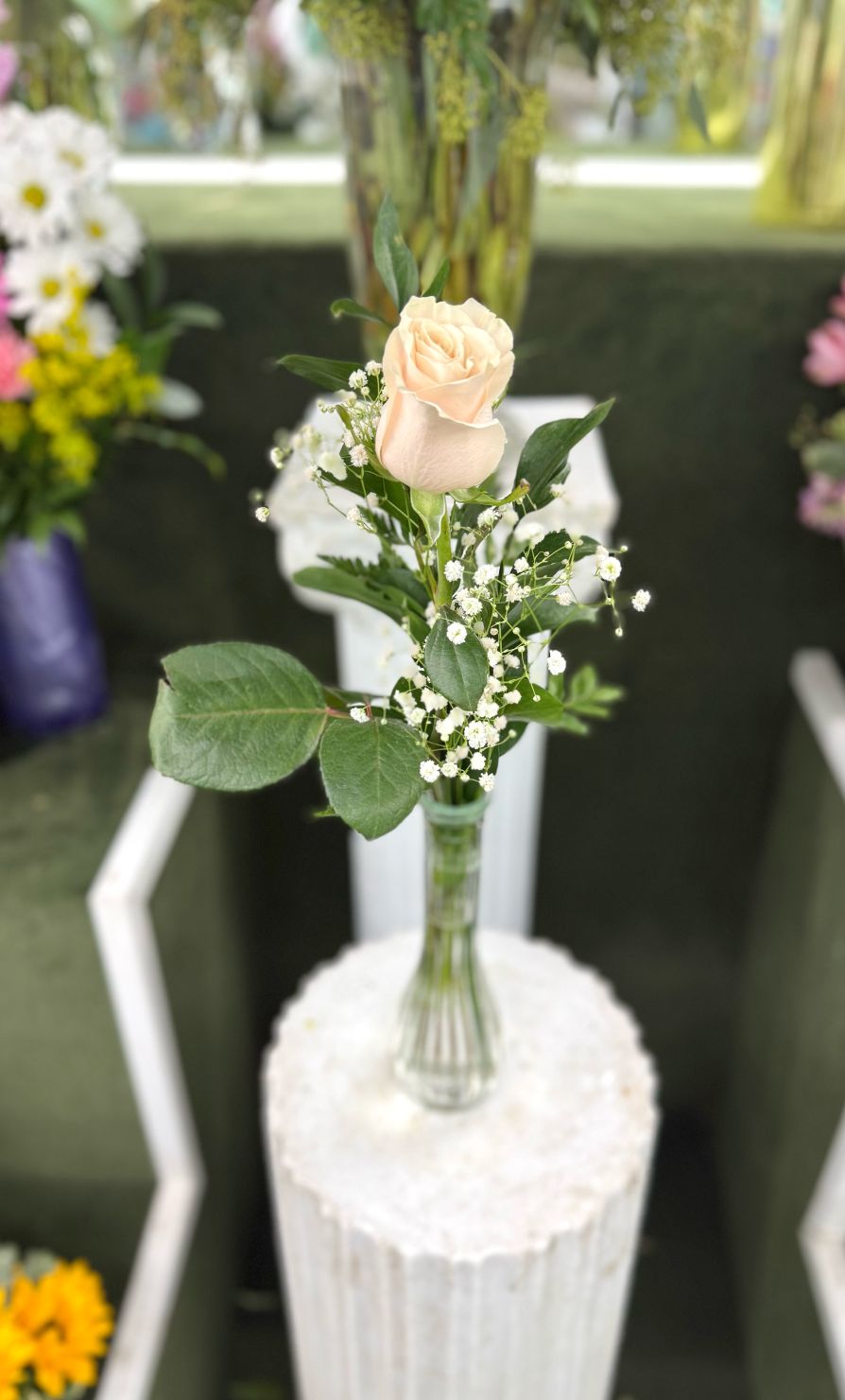 Single Rose Budvase In the Cooler