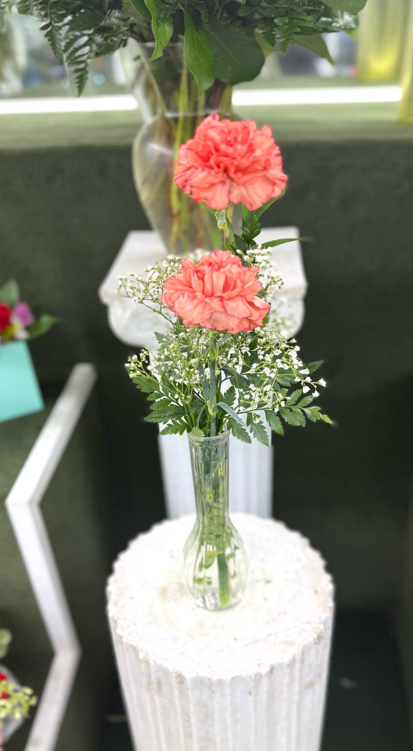 Double Carnation Budvase In the Cooler