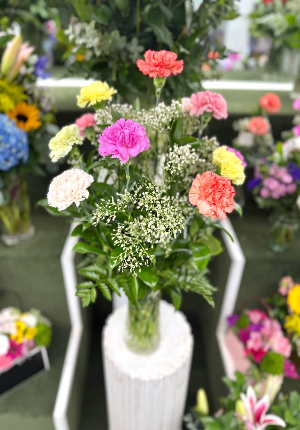 Dozen Colorful Carnation Arrangement In the Cooler
