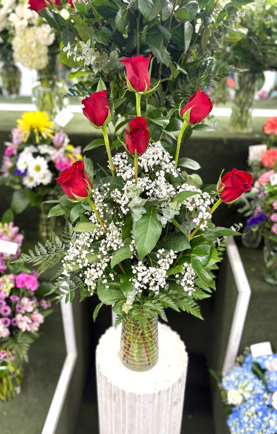 Half Dozen Red Roses Arrangement In the Cooler