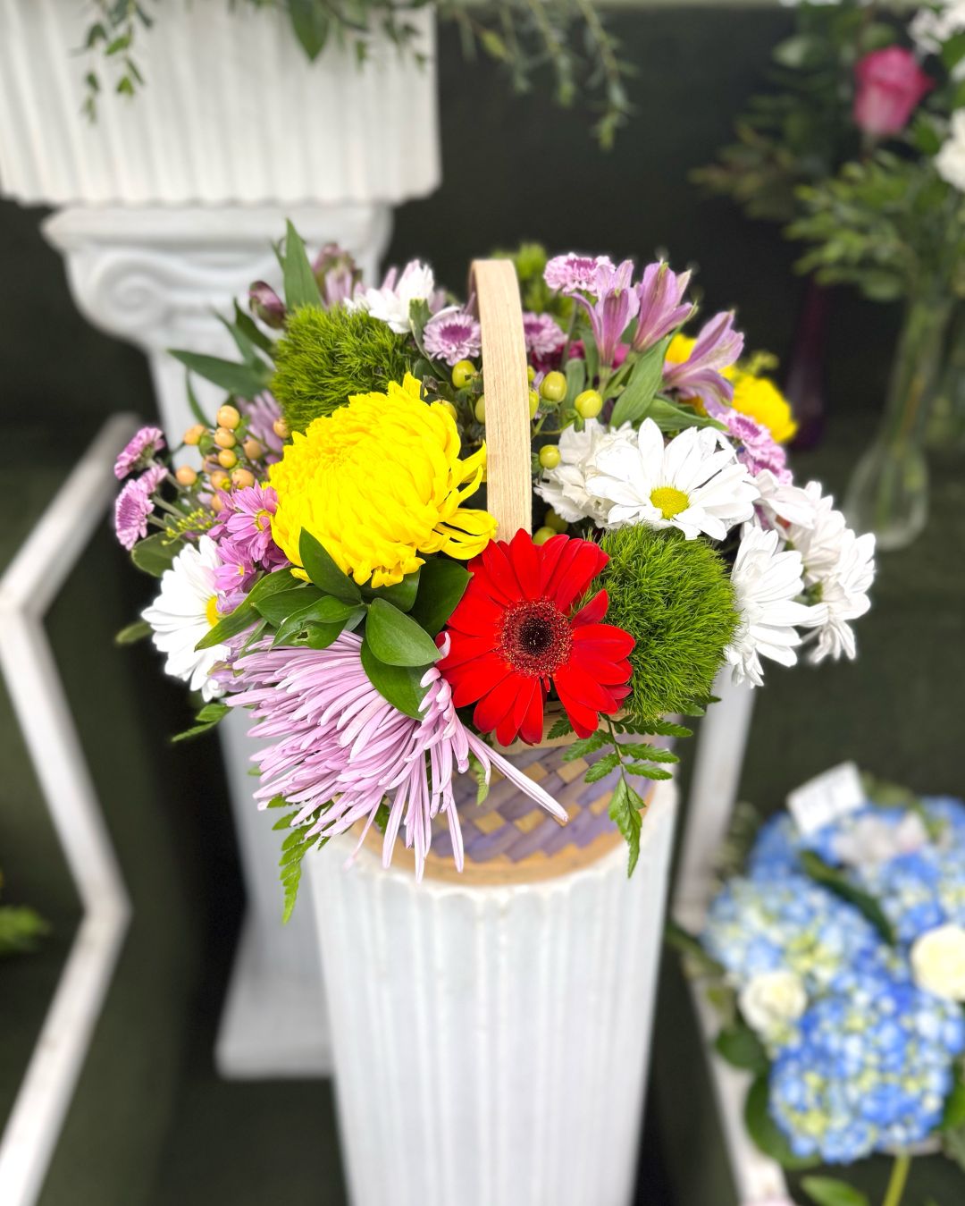 Timeless Basket Blooms Arrangement In the Cooler