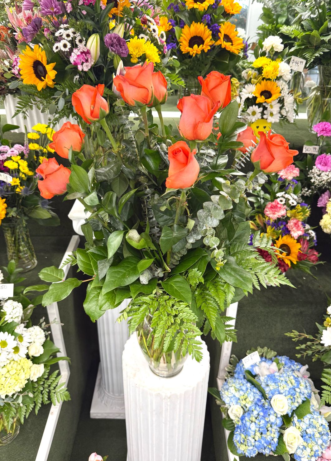 Dozen Orange Roses Arrangement In the Cooler