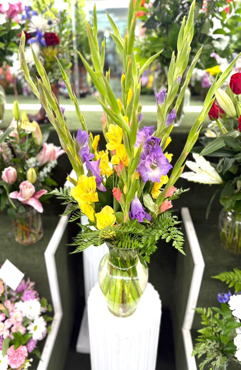 Glistening Gladiolus Arrangement In the Cooler