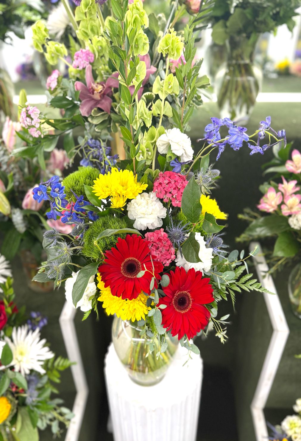 Growing Garden Arrangement In the Cooler