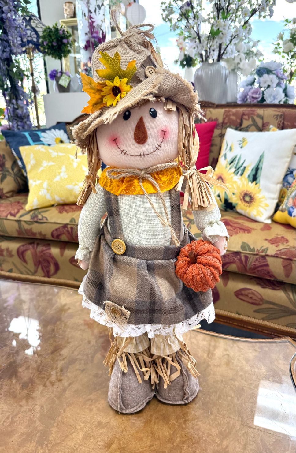 Sally the Scarecrow