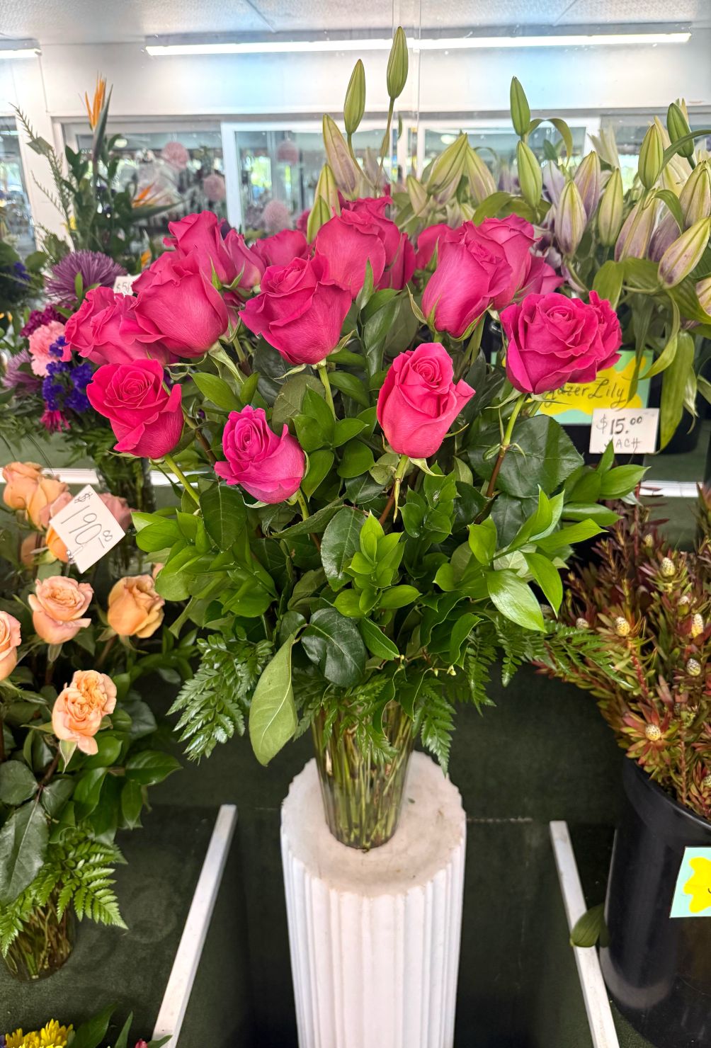 Two Dozen Hot Pink Roses Arranged In the Cooler