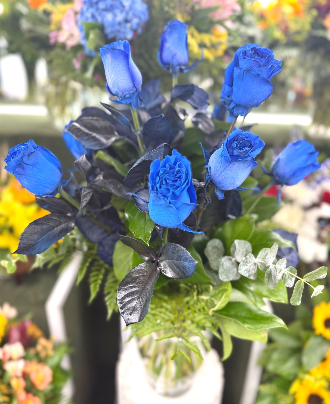 Dozen Royal Blue Roses Arrangement In Cooler