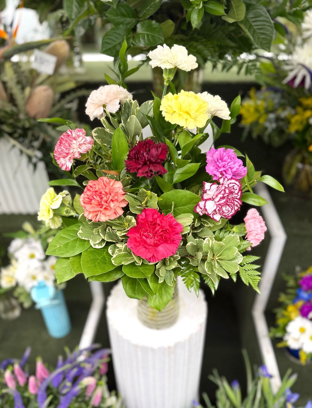 Dozen Colorful Carnations Arrangement In the Cooler 