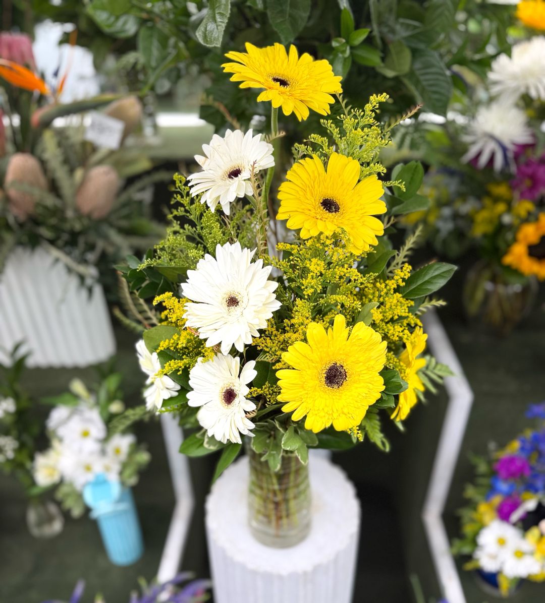 Growing Garden Arrangement In the Cooler