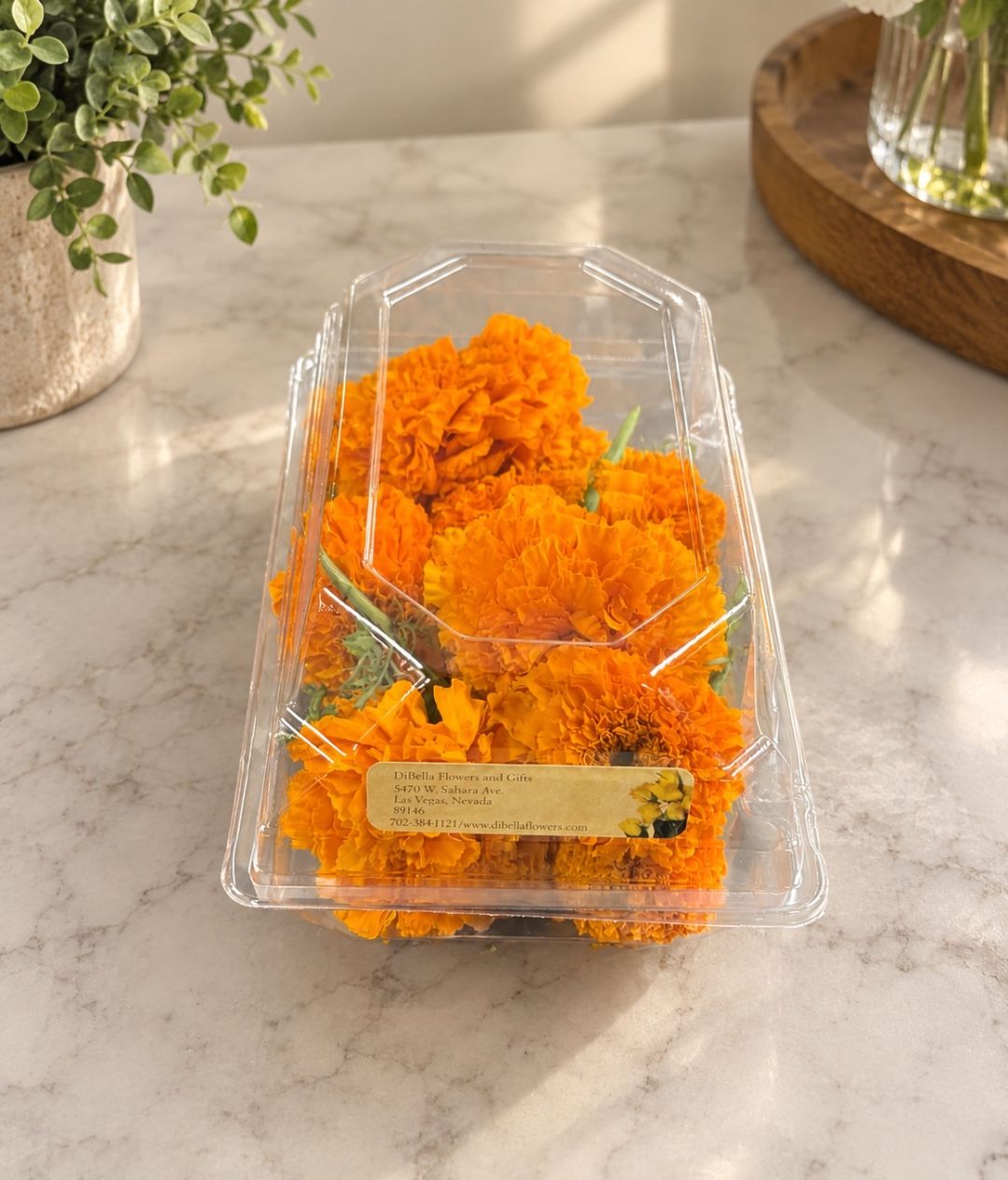 Marigold Heads 