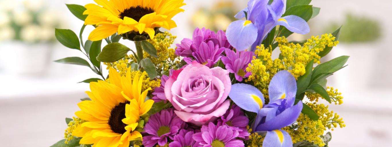 Apology flower delivery in Las Vegas by DiBella Flowers and Gifts