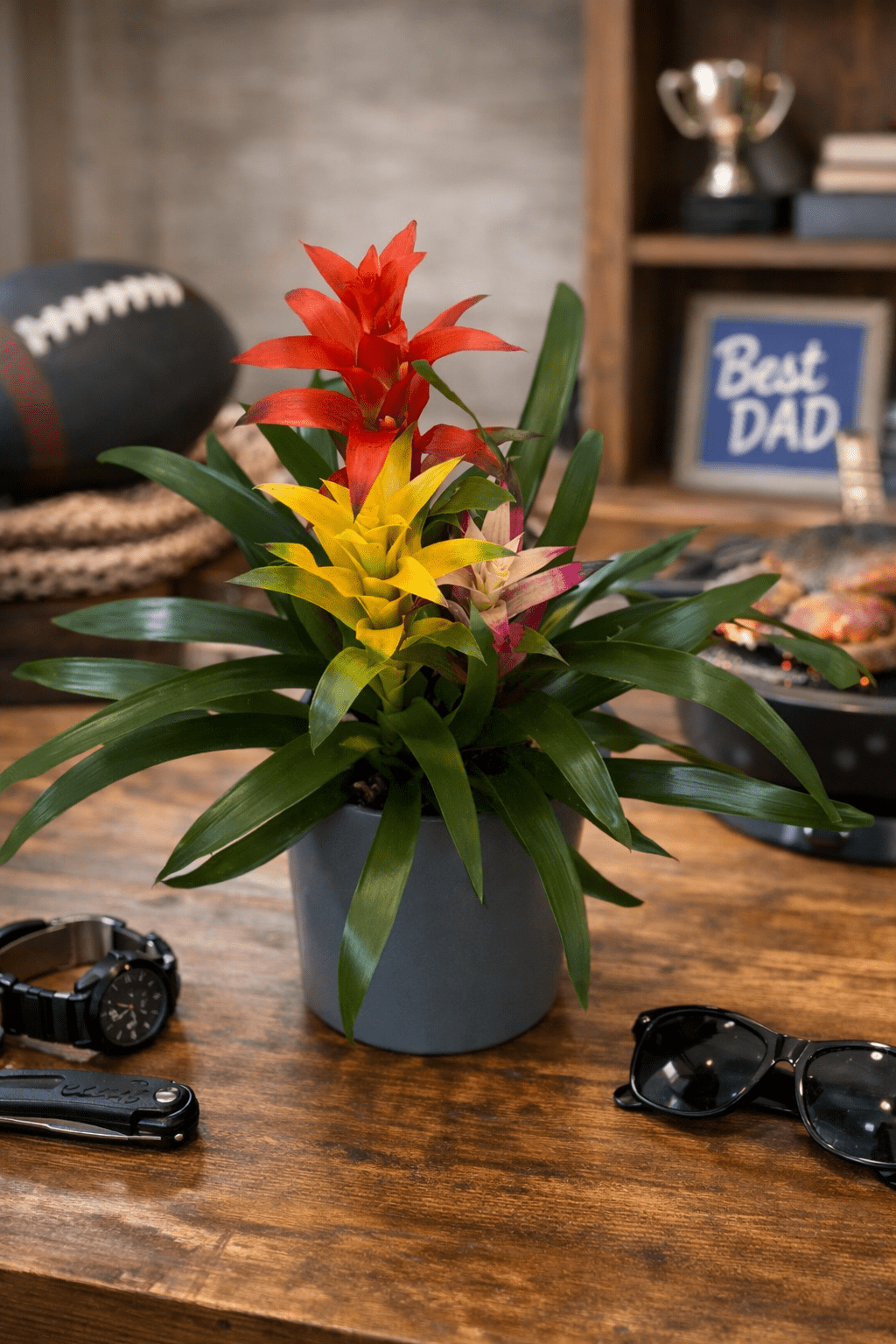 fathers-day-plants-and-flowers.png