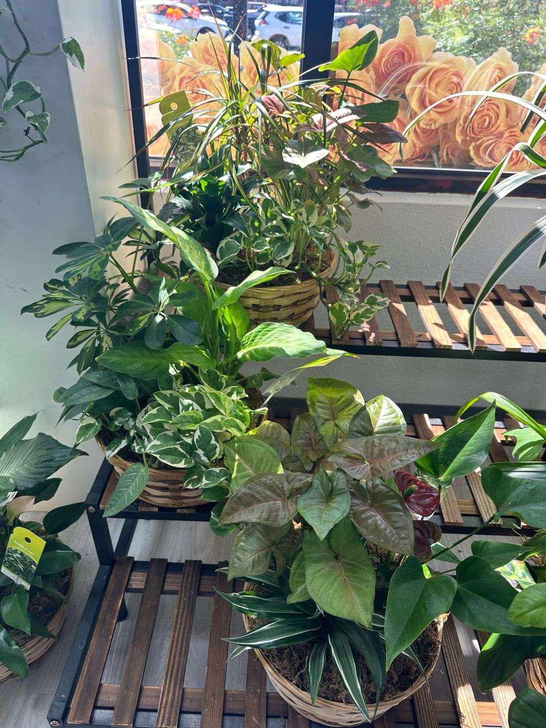 florist-preparing-plant-arrangement-las-vegas.jpg