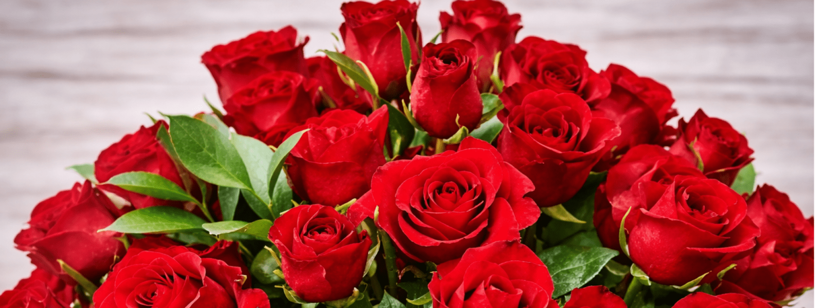 Long stem rose delivery in Las Vegas by DiBella Flowers and Gifts